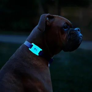 Alternative view of AirTag Case for Dog Collars 2 Pack (Black/Glow-in-the-Dark) - AirTag Case
