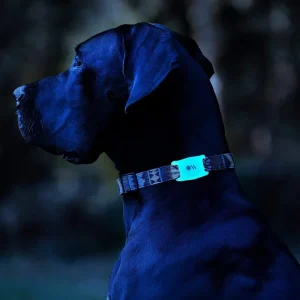 Alternative view of AirTag Case for Dog Collars (Glow in the Dark) - AirTag Case